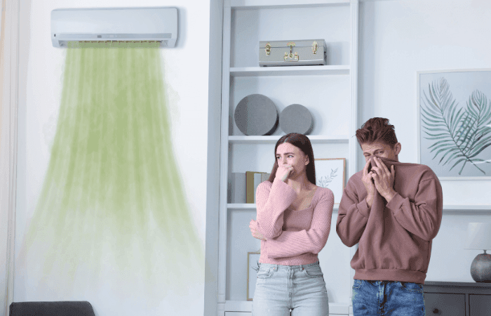 Musty odor coming from a home air duct vent