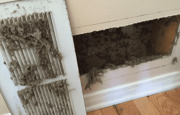 Pet hair collected on an air duct vent grille